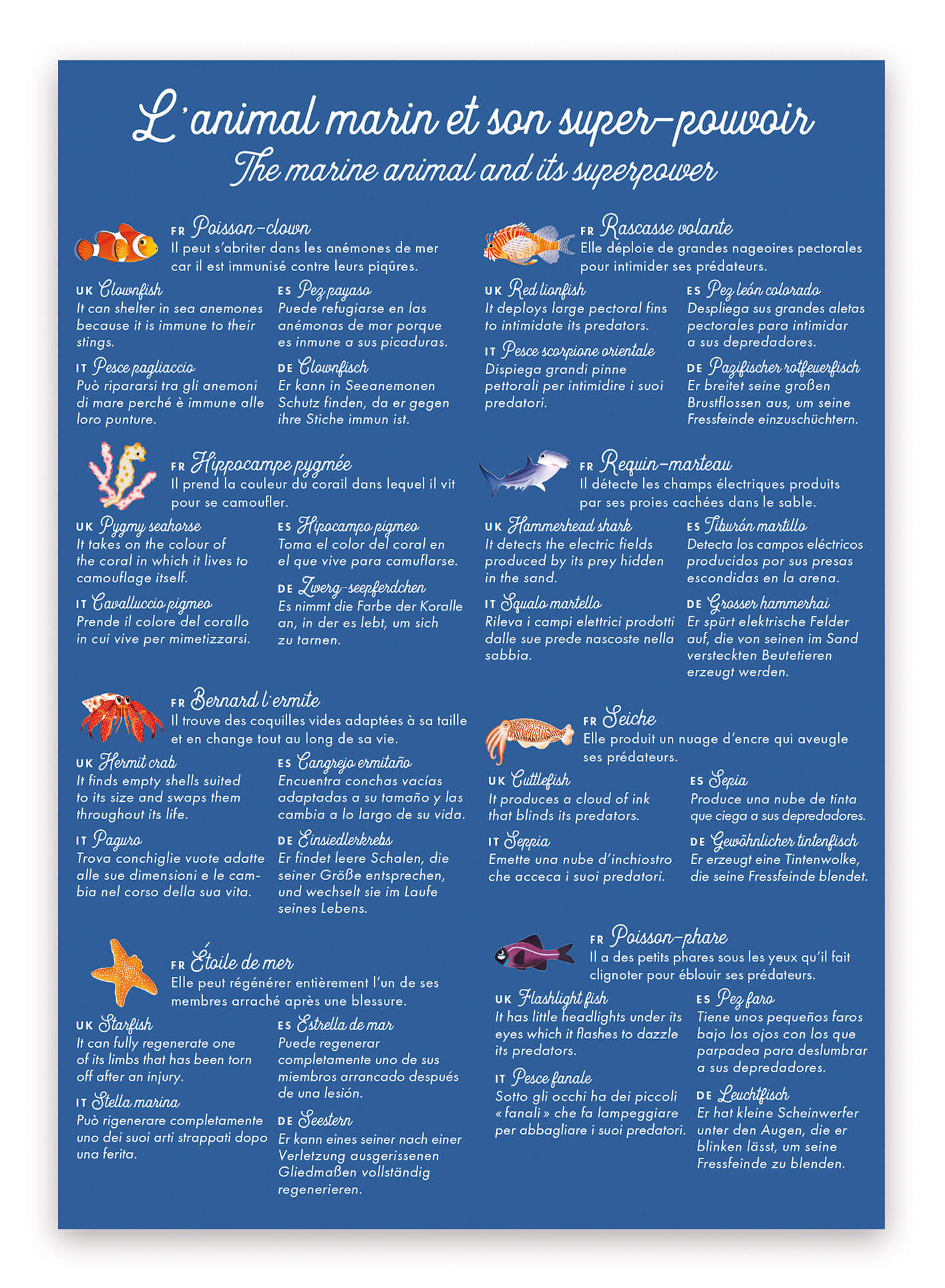 fiche du jeu de memory l'animal marin et son super pouvoir détaillant tous sur les super pouvoirs des animaux marins