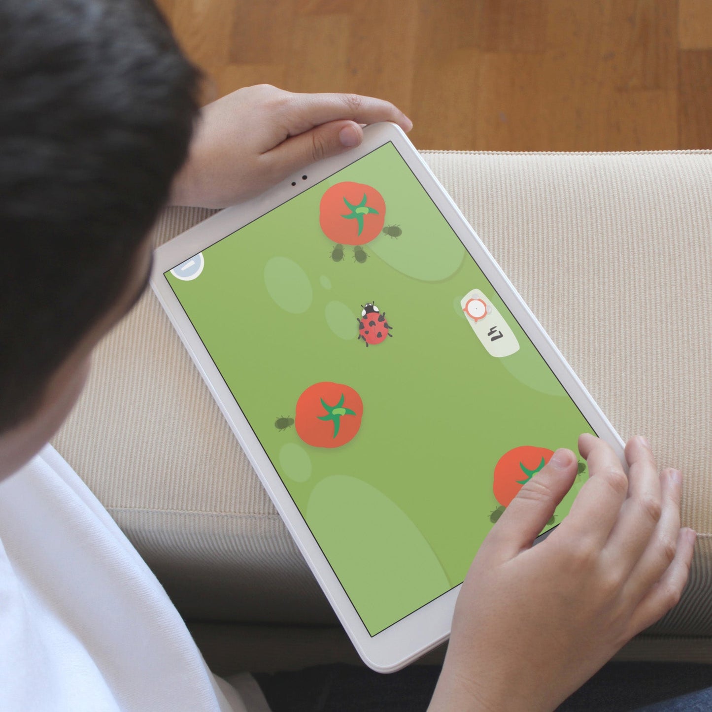 KIT SEMIS TOMATES - JEUX EDUCATIFS - BOTAKI
