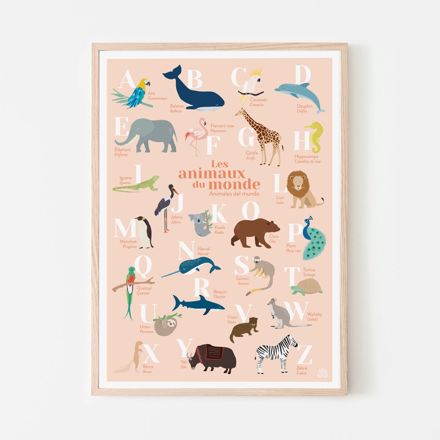 L’ABECEDAIRE DES ANIMAUX DU MONDE BILINGUE ANGLAIS - ROSE - AFFICHES - PAPIER CURIEUX