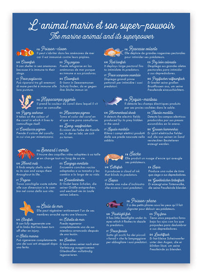 MEMORY L'ANIMAL MARIN ET SON SUPER POUVOIR