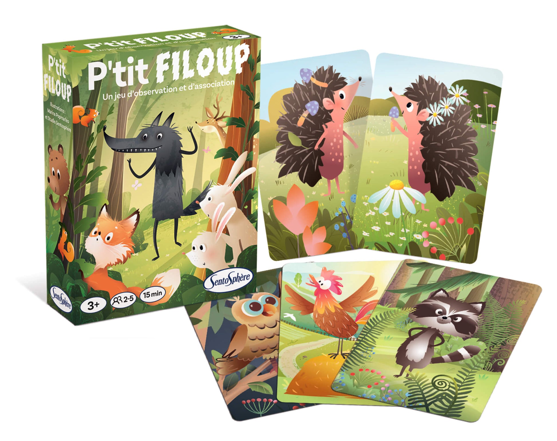 vue boite et cartes du jeu de cartes pour enfants de 3 ans pour développer le sens de l'observation