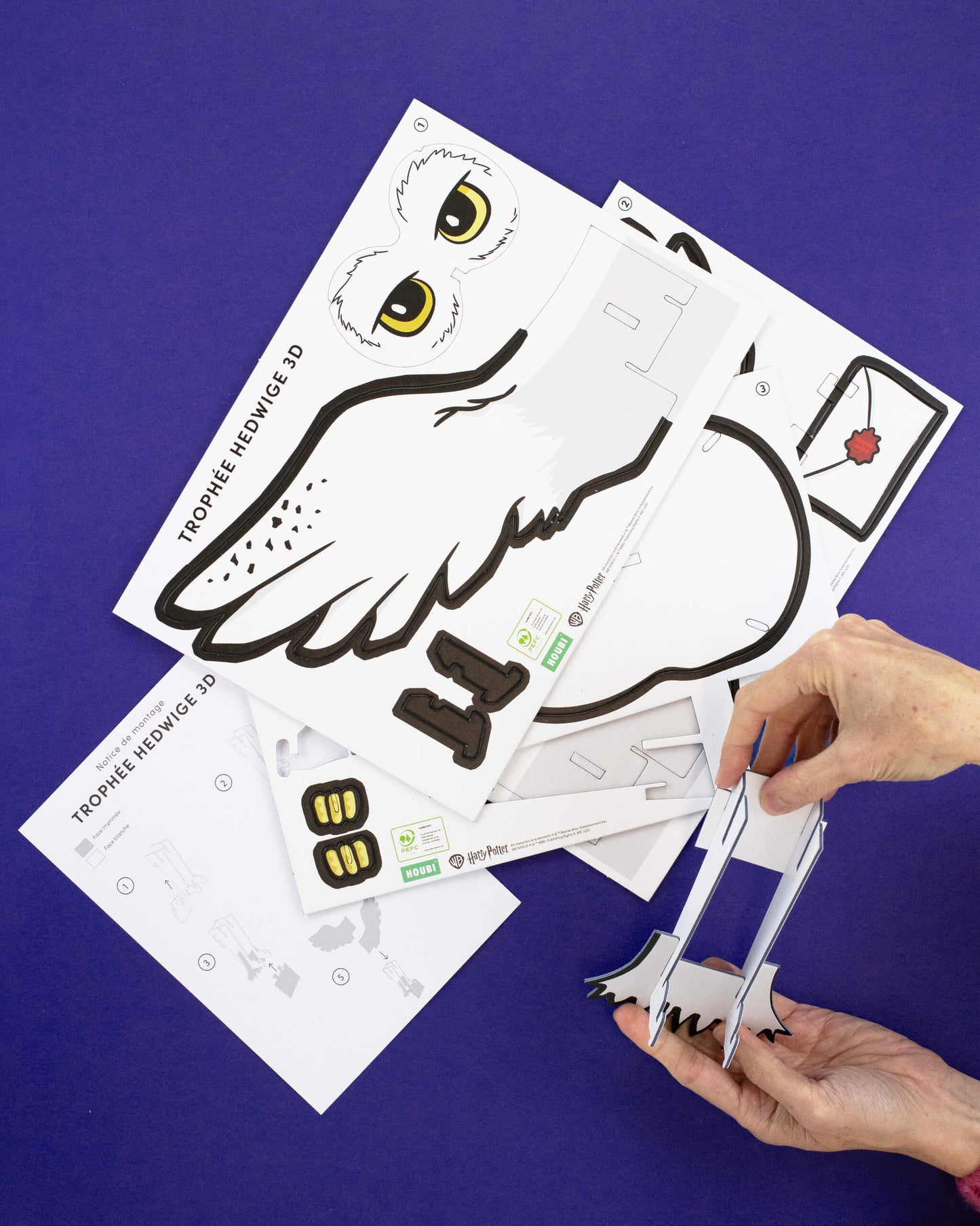 TROPHEE 3D HEDWIGE HARRY POTTER™