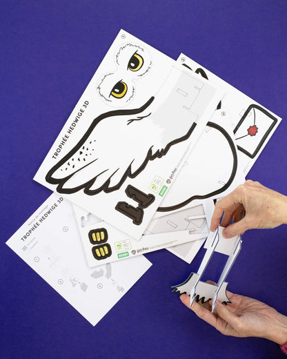 TROPHEE 3D HEDWIGE HARRY POTTER™